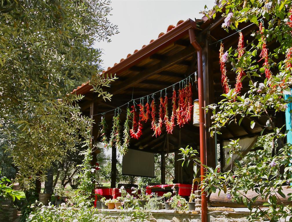Hotel Stonehouse à Selçuk Extérieur photo