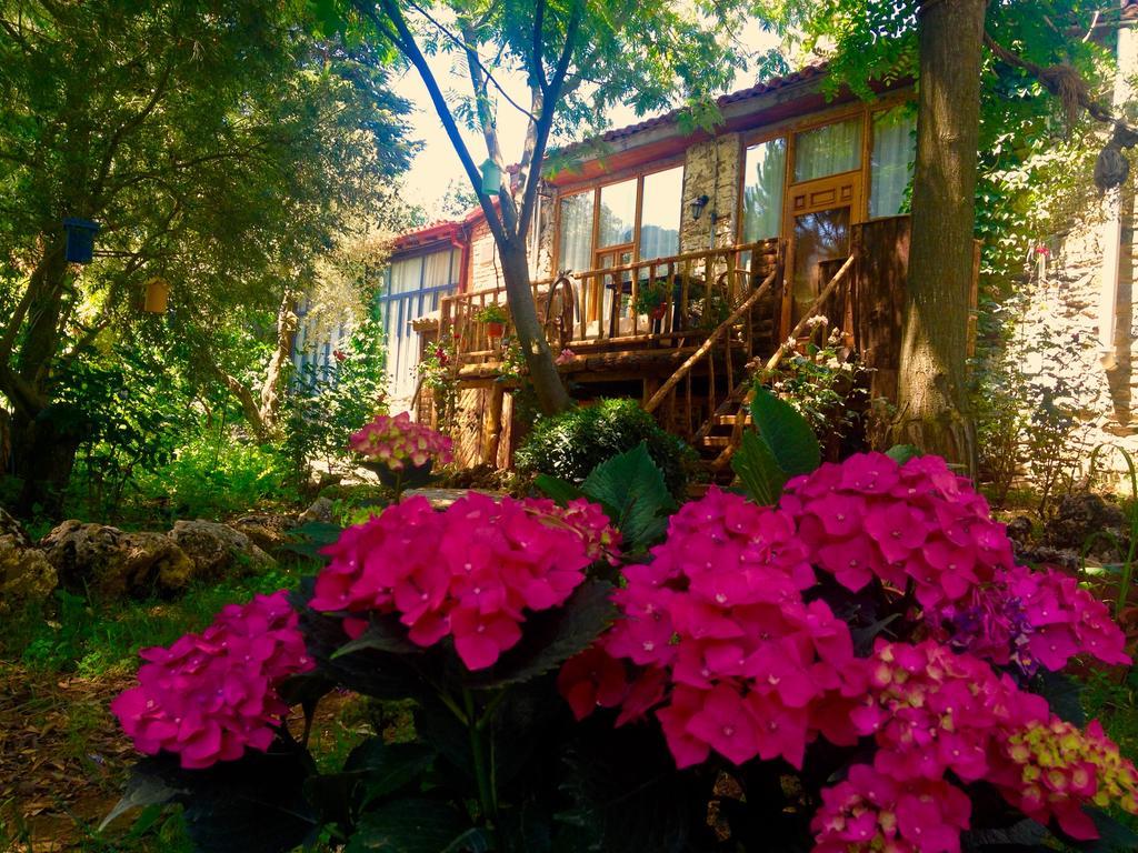 Hotel Stonehouse à Selçuk Extérieur photo