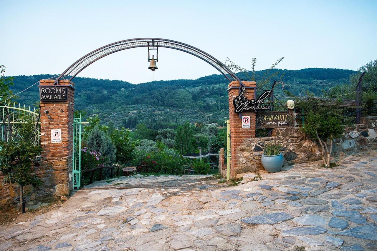 Hotel Stonehouse à Selçuk Extérieur photo